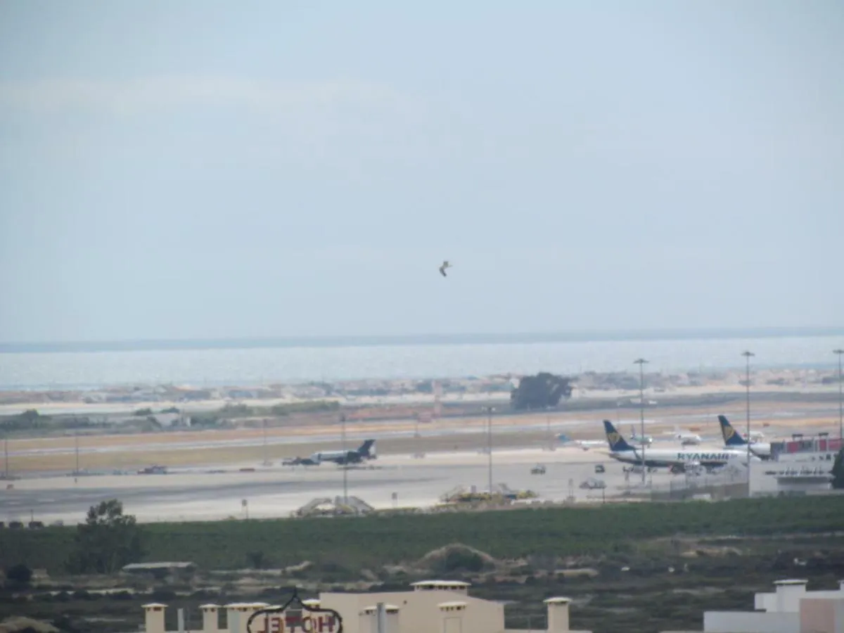 In Faro With Sea Viewアパートメント 0*,
